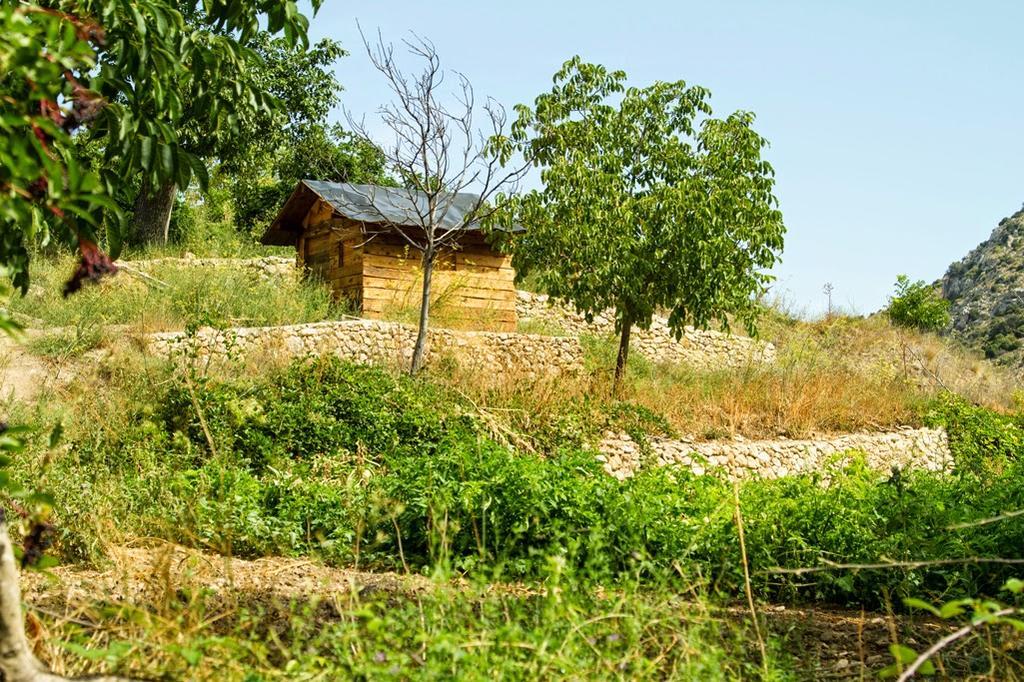 Molino Del Machero Пуебла-де-Дон-Фадріке Екстер'єр фото